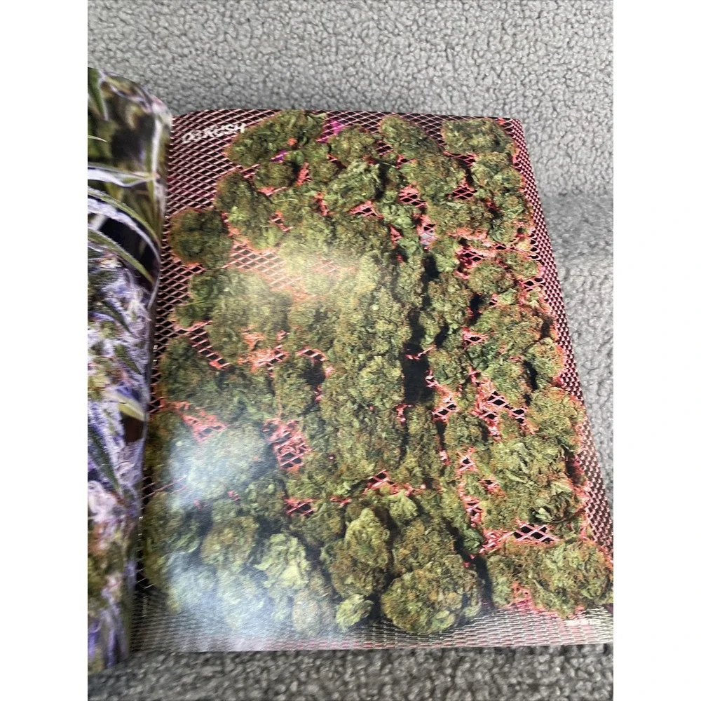 High Times‎ January 2009 Issue# 396 James Franco Stoner